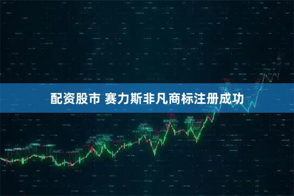 配资股市 赛力斯非凡商标注册成功